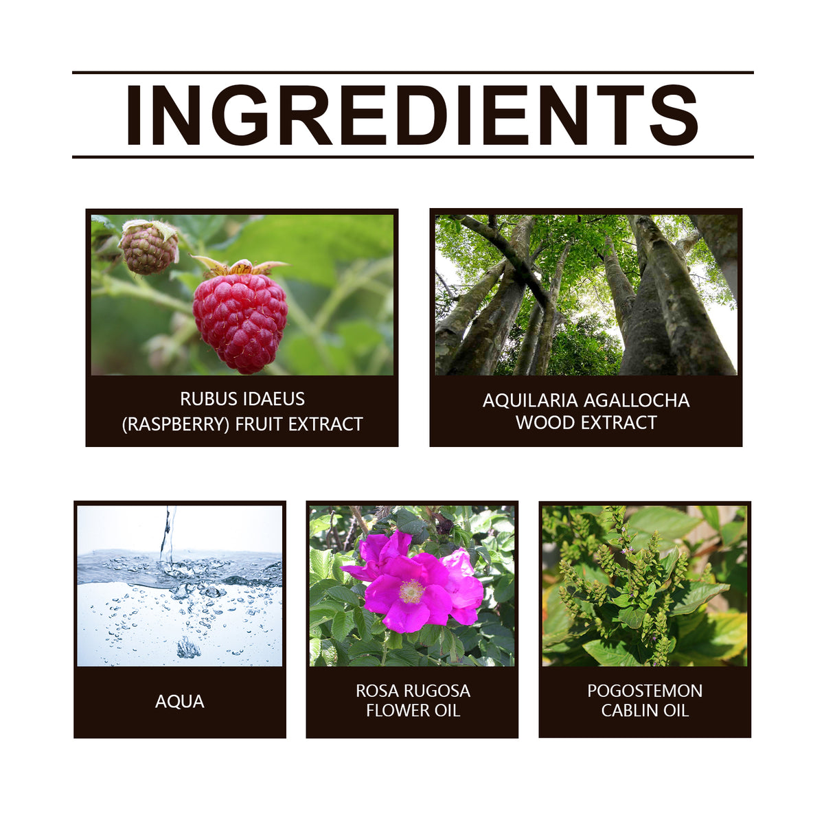 Eau de toilette Roxelis au bois d’agar