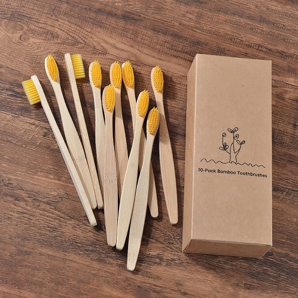 BROSSE A DENTS ÉCOLOGIQUE EN BAMBOU (10 pièces )