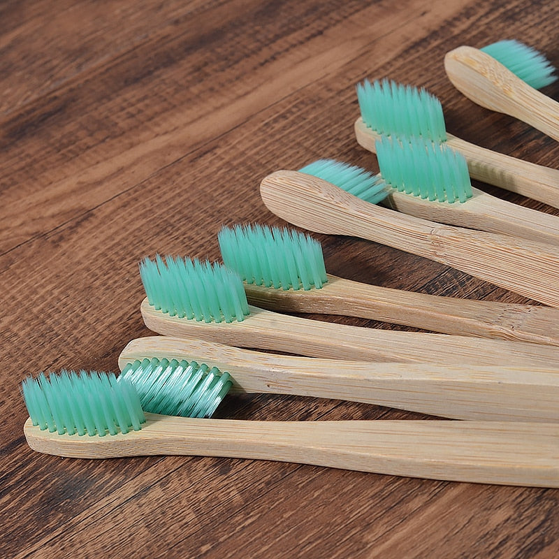 BROSSE A DENTS ÉCOLOGIQUE EN BAMBOU (10 pièces )