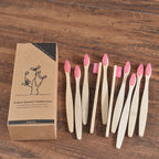BROSSE A DENTS ÉCOLOGIQUE EN BAMBOU (10 pièces )