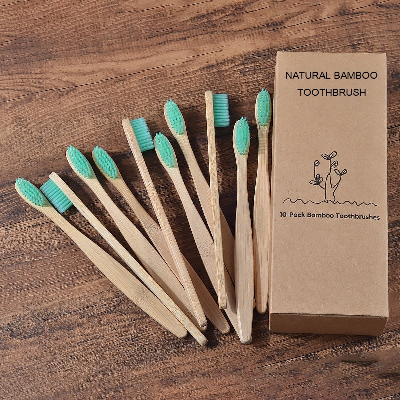 BROSSE A DENTS ÉCOLOGIQUE EN BAMBOU (10 pièces )