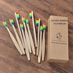 BROSSE A DENTS ÉCOLOGIQUE EN BAMBOU (10 pièces )