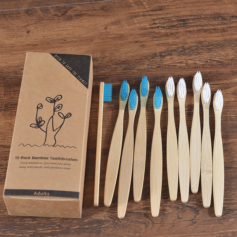 BROSSE A DENTS ÉCOLOGIQUE EN BAMBOU (10 pièces )