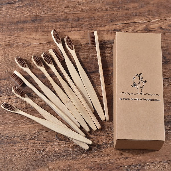 BROSSE A DENTS ÉCOLOGIQUE EN BAMBOU (10 pièces )