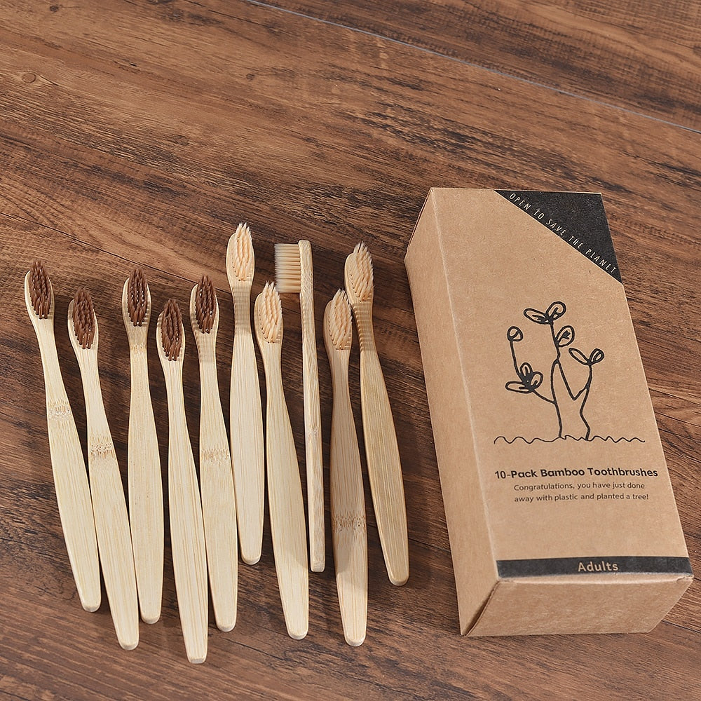 BROSSE A DENTS ÉCOLOGIQUE EN BAMBOU (10 pièces )