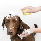 BROSSE  DE MASSAGE DE BAIN POUR ANIMAUX DE COMPAGNIE