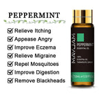 HUILES ESSENTIELLES PURES 10ML - lavande Eucalyptus - BOSSOUASHOP