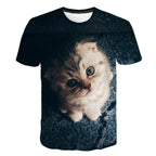 T-SHIRT MANCHES COURTES - BOSSOUASHOP